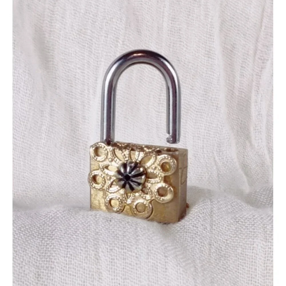 Steampunk Mini Padlock Upcycle Metal Filigree Armadillo Jewelry Key Cosplay